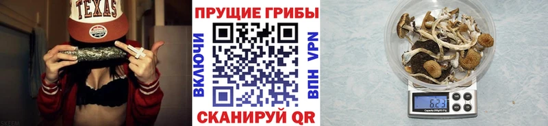 Псилоцибиновые грибы GOLDEN TEACHER  Белинский 